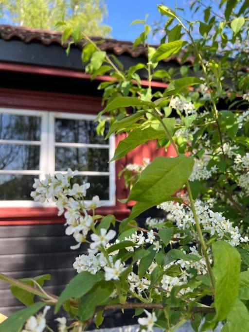 Holiday home Koselig Pa Eget Tun Med Varmtvanns Utedusj *