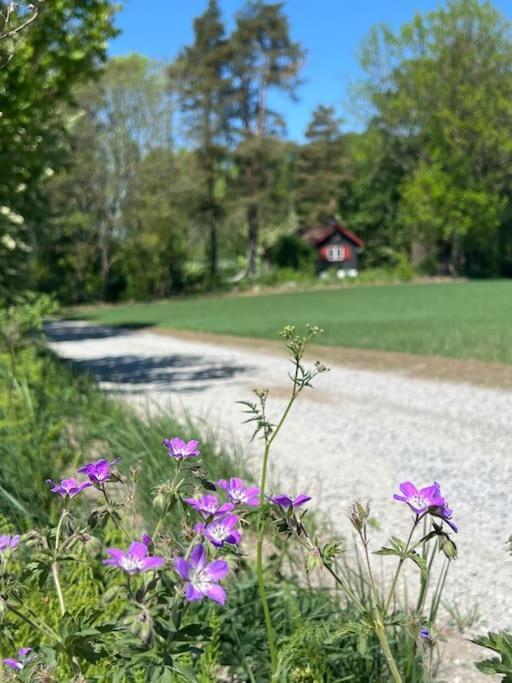 Holiday home Koselig Pa Eget Tun Med Varmtvanns Utedusj As